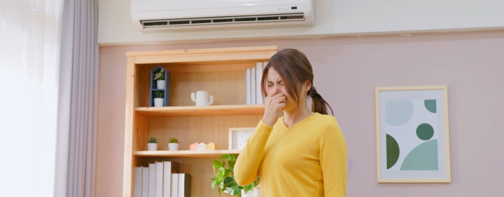 How to Fight Seasonal Allergies by Boosting Your Indoor Air Quality 